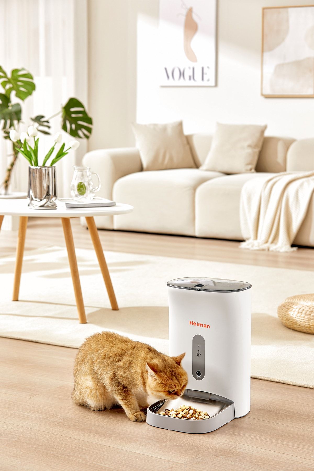 Pet food dispenser with camera clearance