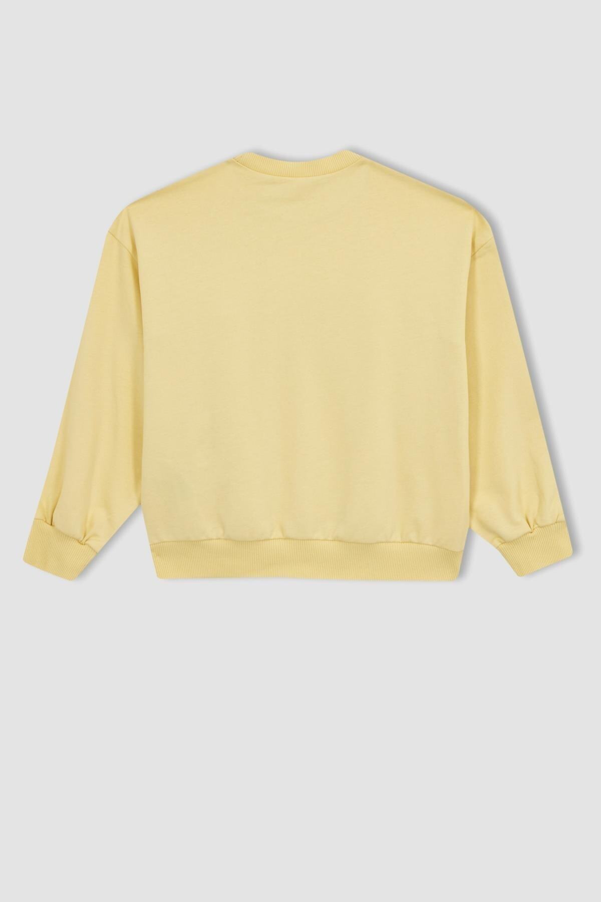 سویشرت دخترانه دفاکتو Defacto اورجینال دخترانه کد کالا Z8914A623SP - تصویر 3