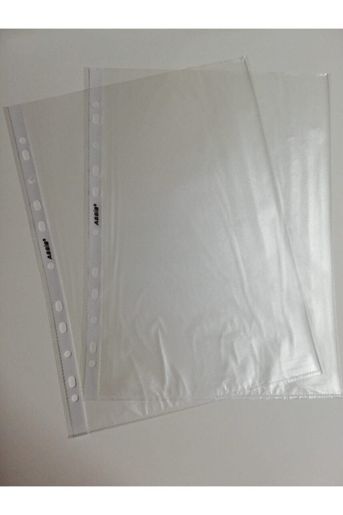 ASSİS-File Type Bag 2