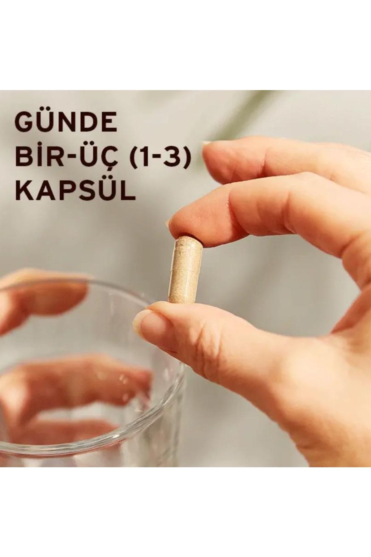 Solgar Milk Thistle 100 Mg 50 Kapsül OH7022