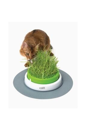 catit otomatik kedi sulugu 3 lt fiyati