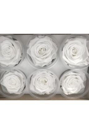 Şoklanmış Solmayan Güller 6'lı Paket Beyaz Renk SBC5025