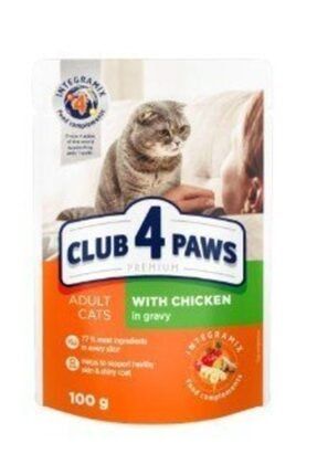 mito adult cat tavuklu yetiskin kedi