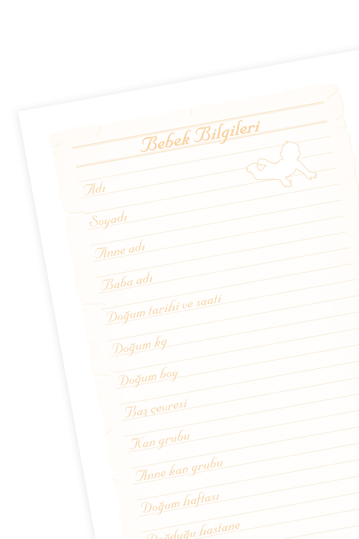 CoNotes Anne & Bebek Günlüğü - Erkek Bebek fotoğrafı 3 (önizleme)