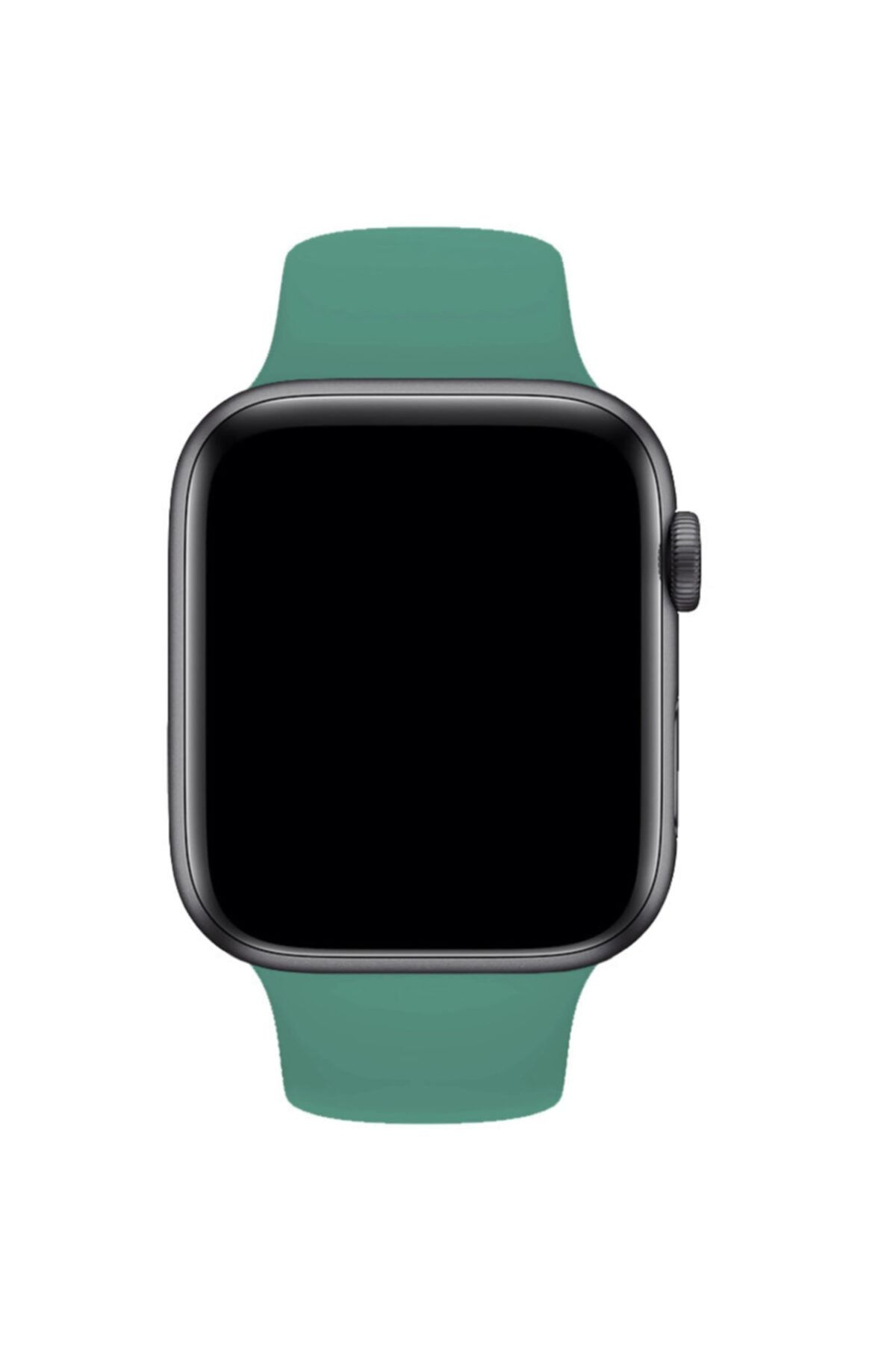 Apple watch sport hotsell band cactus