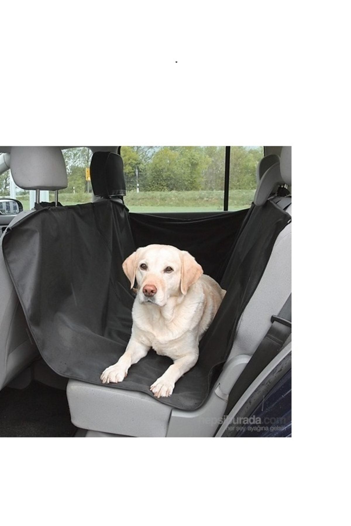 Pet backseat cover discount