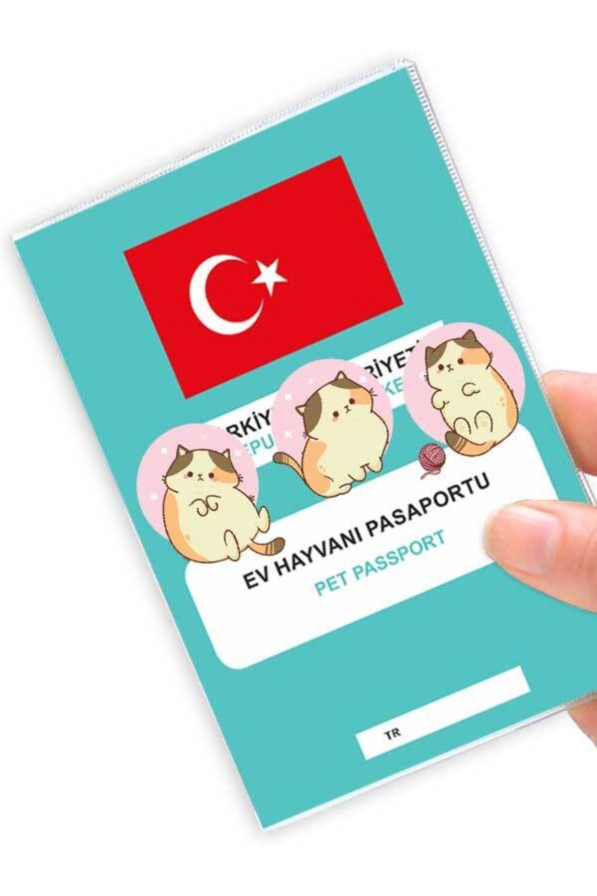 Pet passport turkey shop