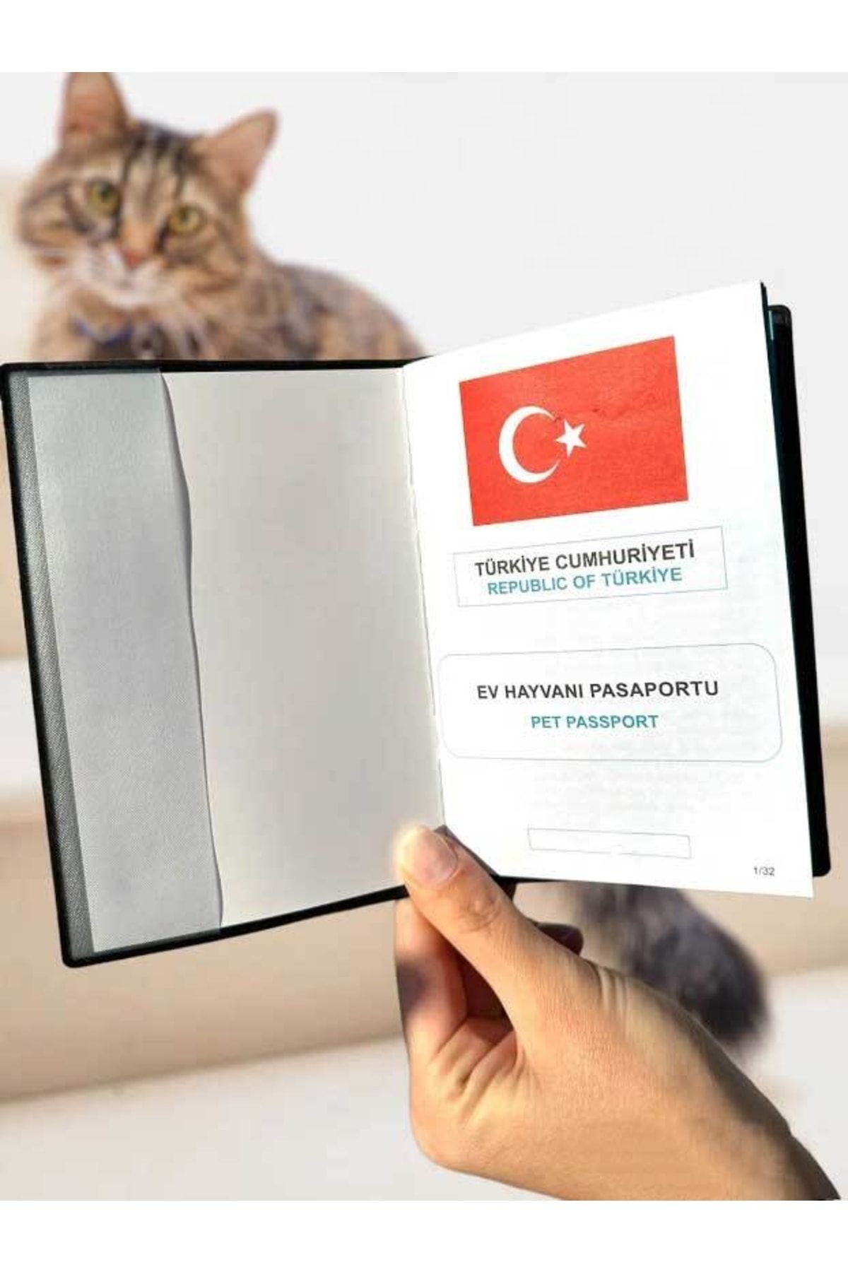 Cat pet passport sales