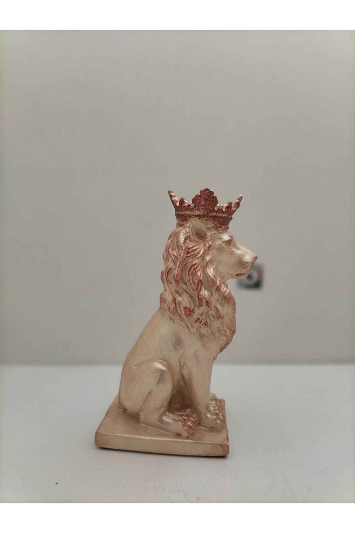 Aslan Kral Biblosu
