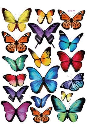 Butterfly Renkli Kelebekler Temalı Defter, Ajanda, Laptop, Telefon, Planlayıcı Sticker Seti 18 Adet TYC00109275540