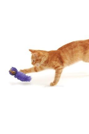 Kedi Peluş Kuyruklu Mantar Oyun Topu 19cm Karışık Renk 035585334158