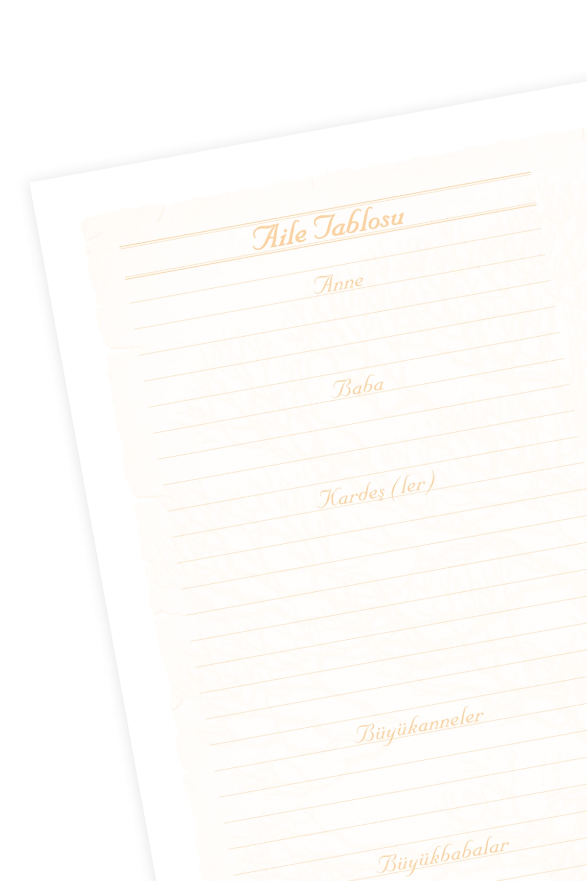 CoNotes Anne & Bebek Günlüğü - Erkek Bebek fotoğrafı 4 (önizleme)