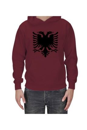 Arnavutluk Bayrağı Baskılı Erkek Kapşonlu TD209078