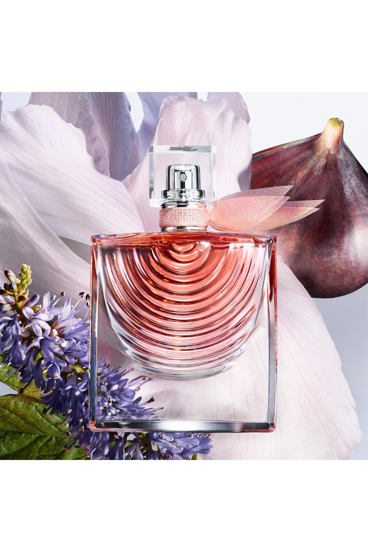 ادکلن زنانه La Vie Est Belle Iris Absolu رایحه شیرین و گلی ۵۰میل لانکوم Lancome