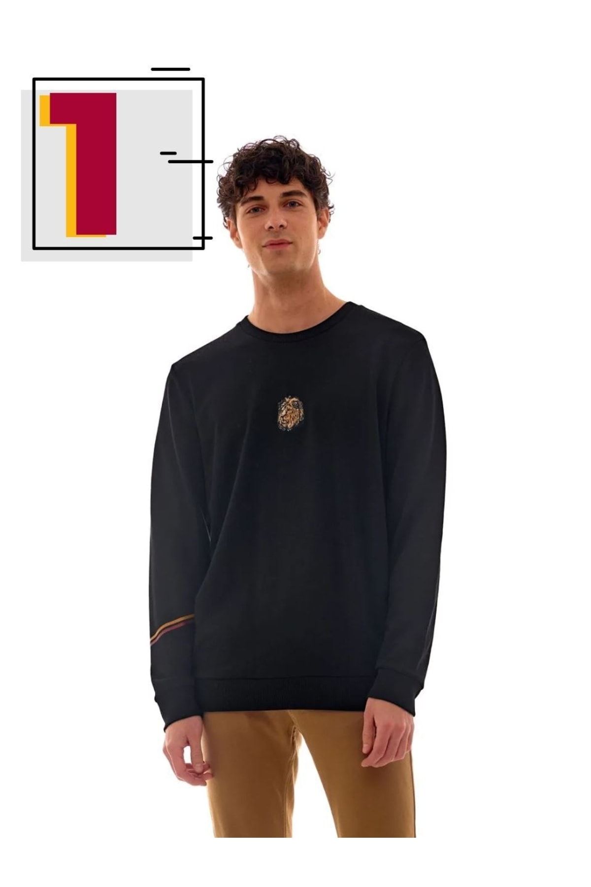 Galatasaray Erkek Sweatshirt E222166 BY6476