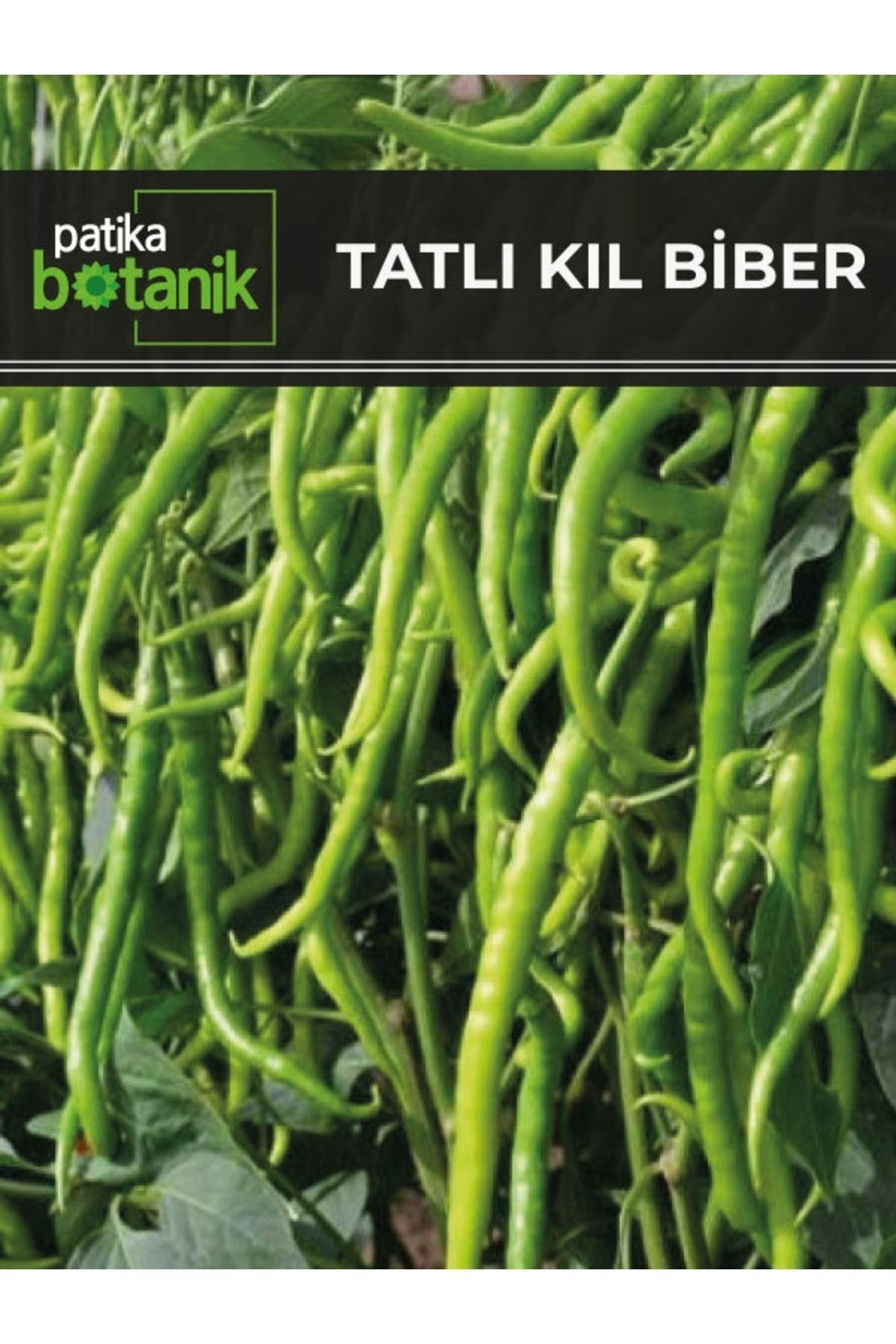 Life Tatlı Kıl Biber Tohumu 1500 Adet Tohum 10 Gr