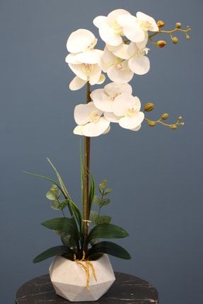 Yapay Çiçek Beton Saksıda 2li Orkide Tanzim Kırık Beyaz 75 cm YPCCK-YPCK-277