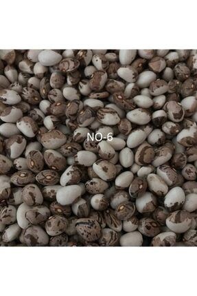 Yerli Sırık Ayşe Kadın Fasulye Tohumu 100 gr (Kahve Çizgili Beyaz) BKST535