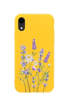 Iphone Xr Lavender Premium Sarı Lansman Silikonlu Kılıf MCIPHXRLLVNT
