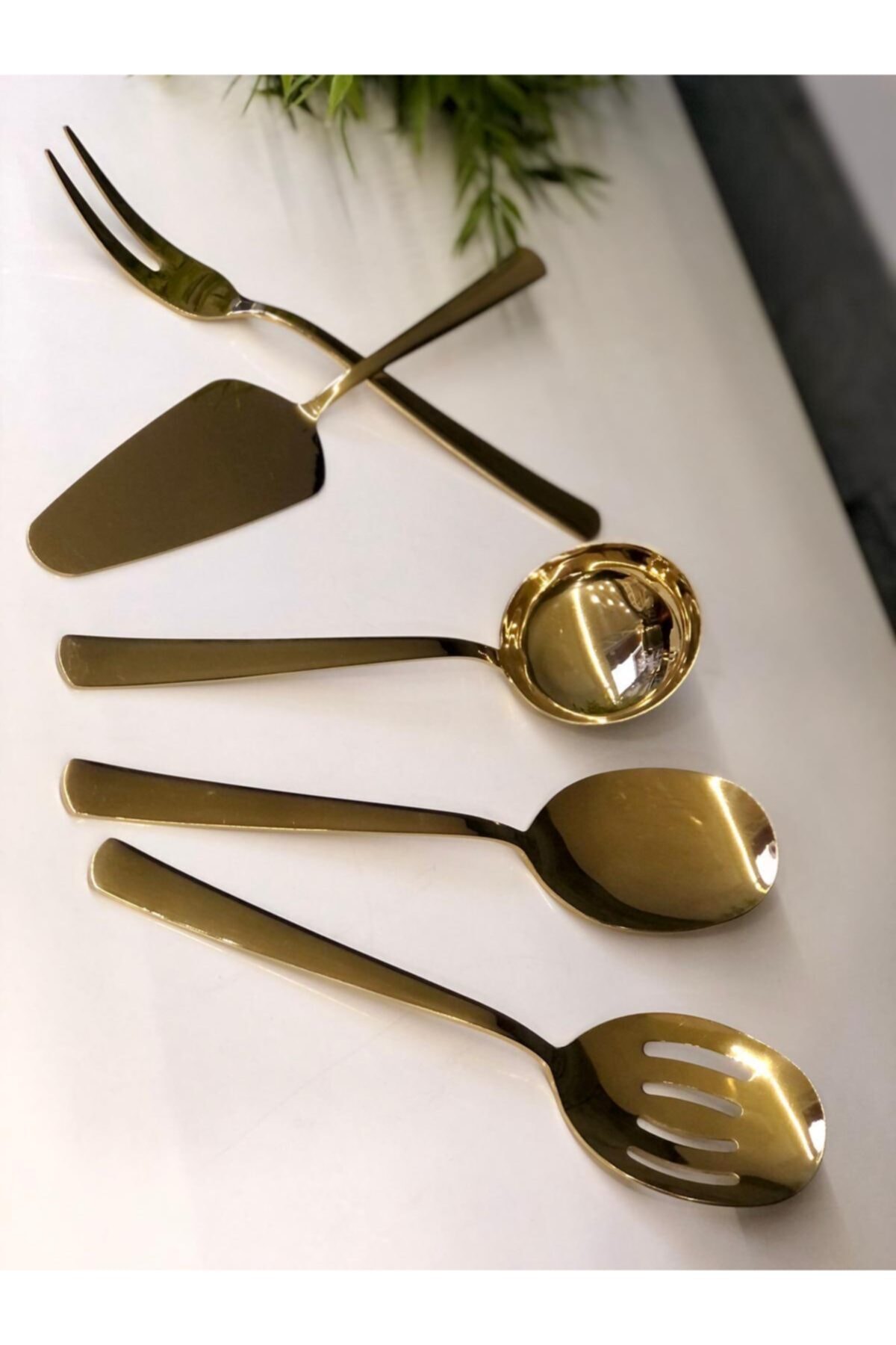 Royking Venus 5 Pcs Shiny Titanium Sauce Set