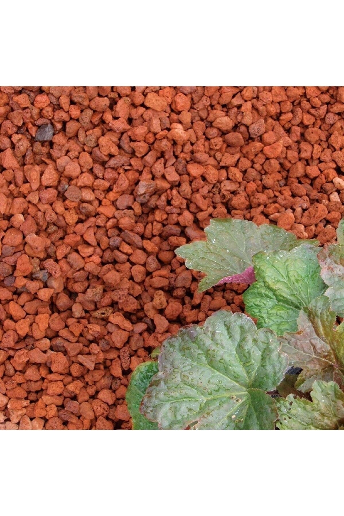 Kırmızı Pomza Taşı 3-8 Mm 7 Kg Volkanik Cürüf Ponza Lav Kırığı 2