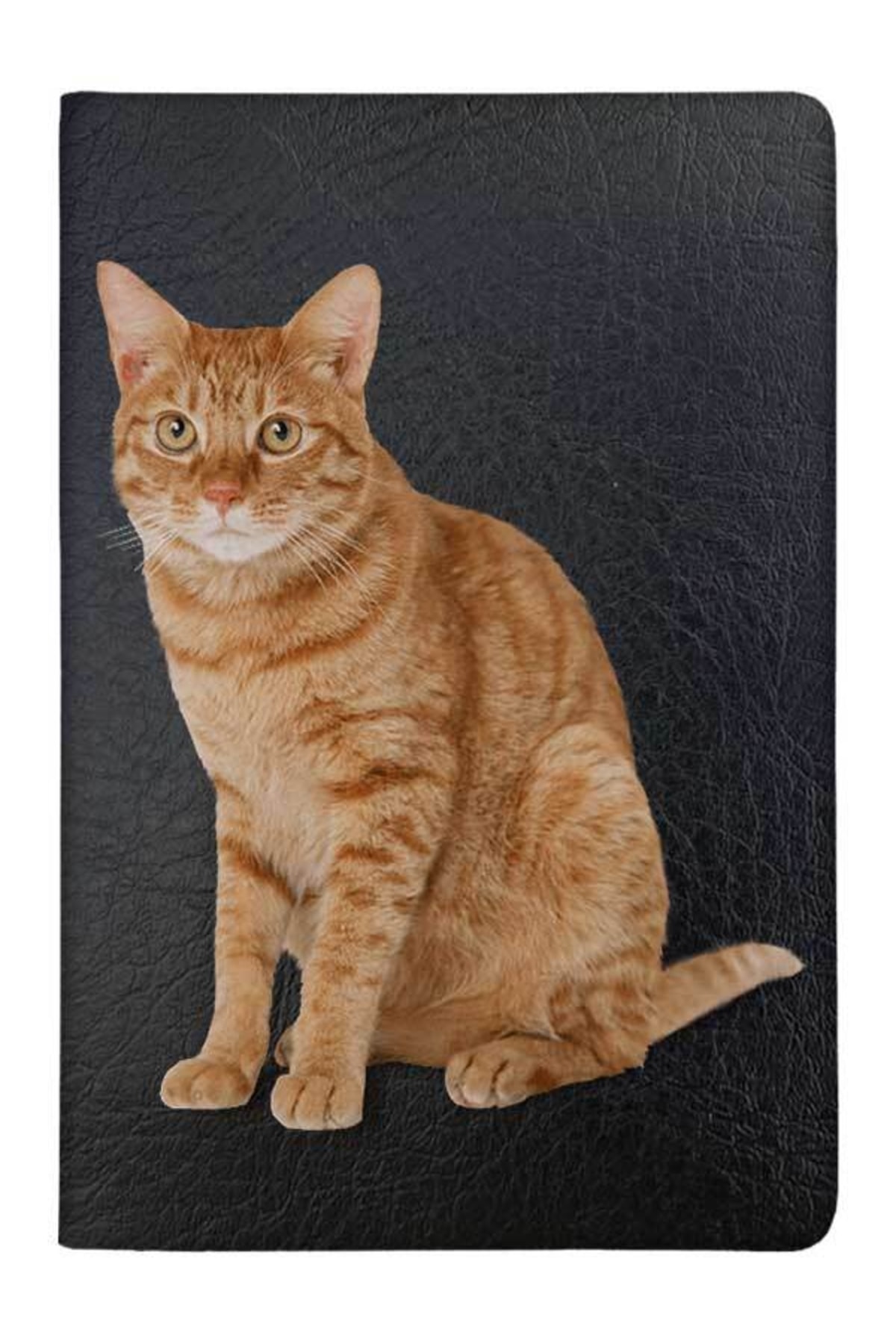 Genel Markalar Turuncu Tekir Vinleks Pet Evcil Hayvan Kedi Köpek Pasaport Sağlık Karnesi Kılıfı