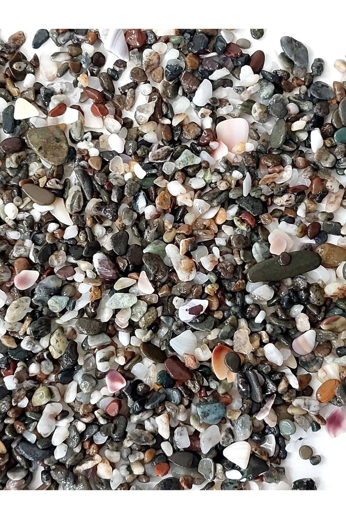 Numenore Akvaryum Kalın Deniz Kabuklu Kuvars Mineralli Dekoratif ( 3 Kg )