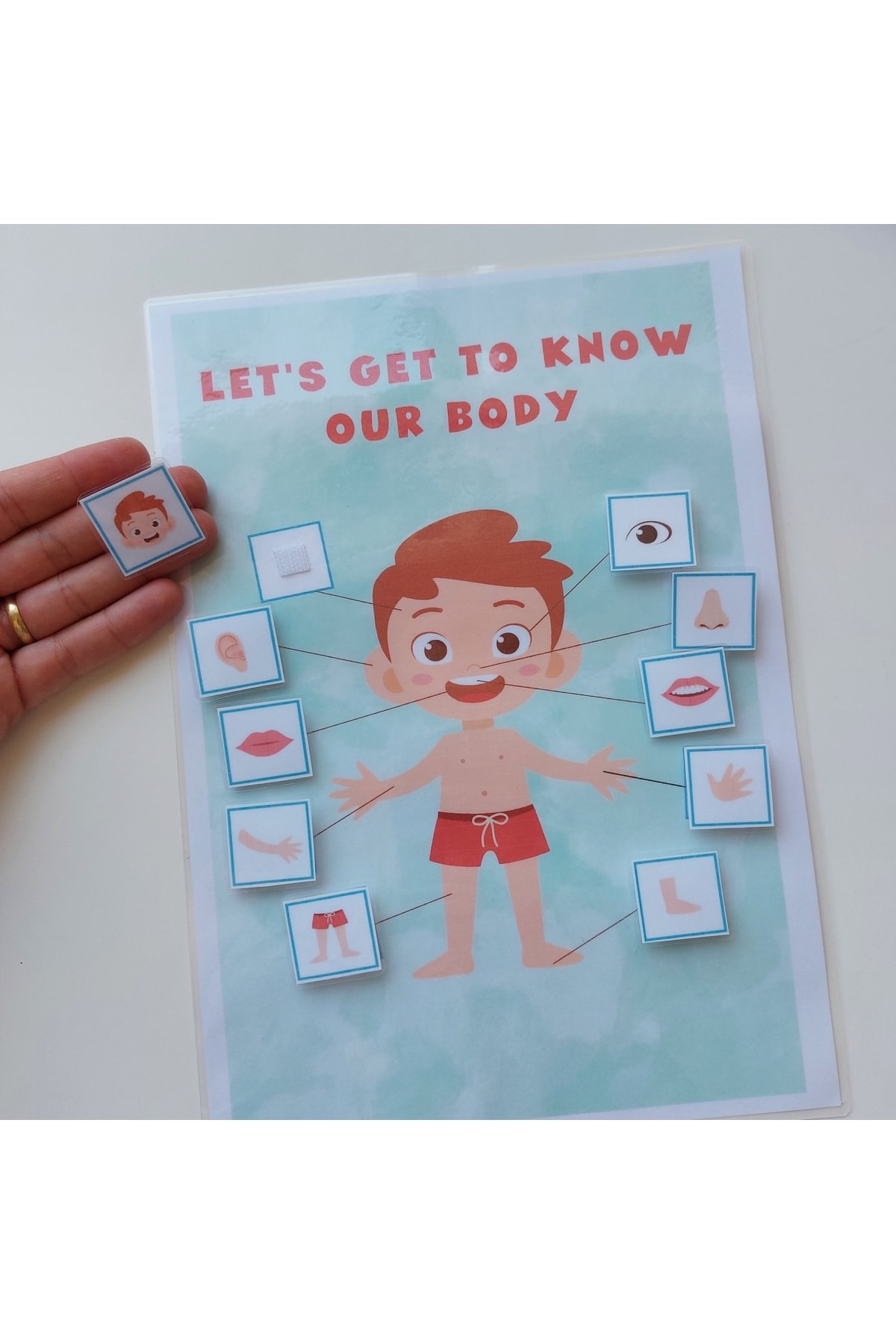 بیایید بدن خود را بشناسیم (مردانه، انگلیسی)