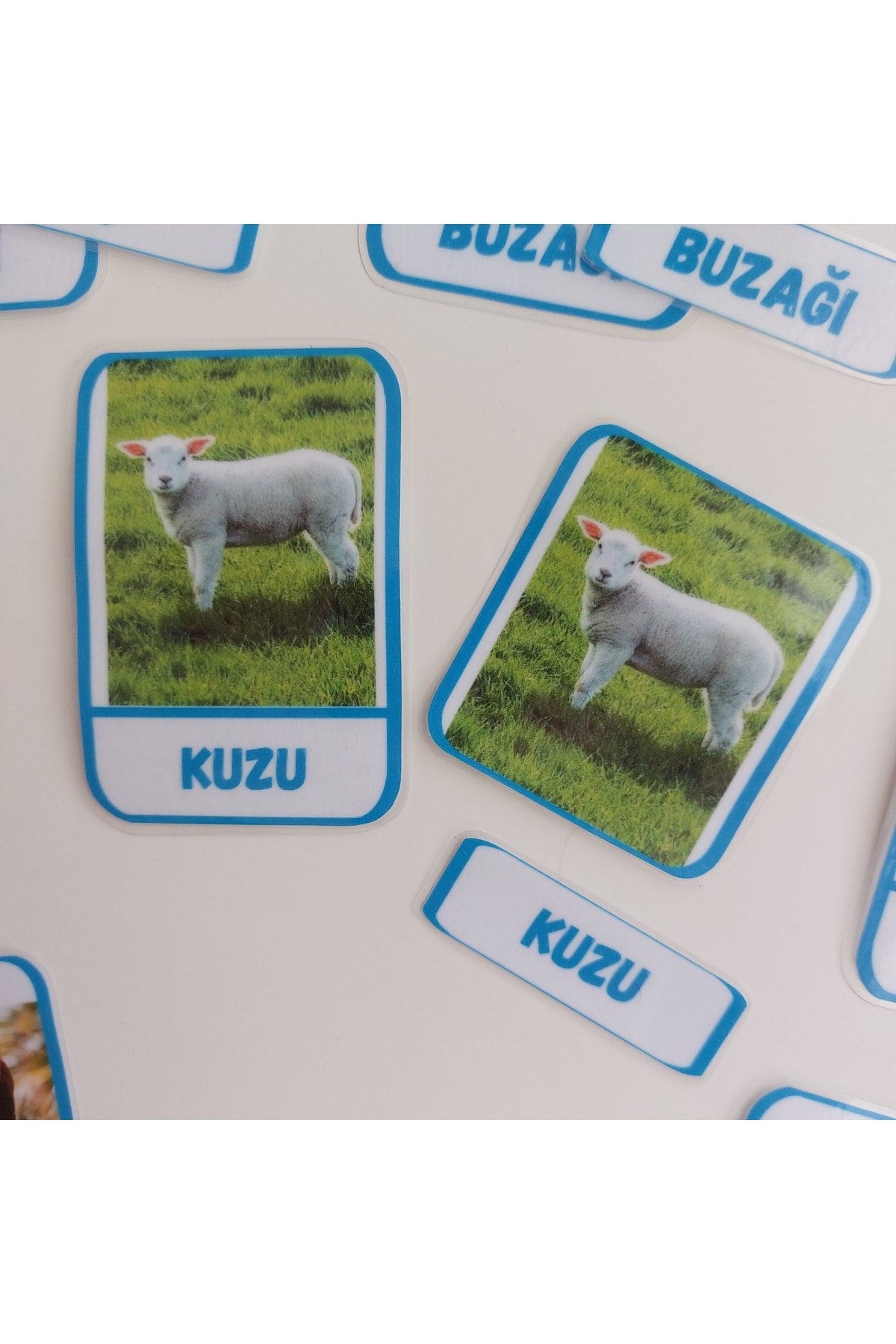 Etkinlik ve çocuk Montessori Hayvanlar Kartları fotoğrafı 3 (önizleme)