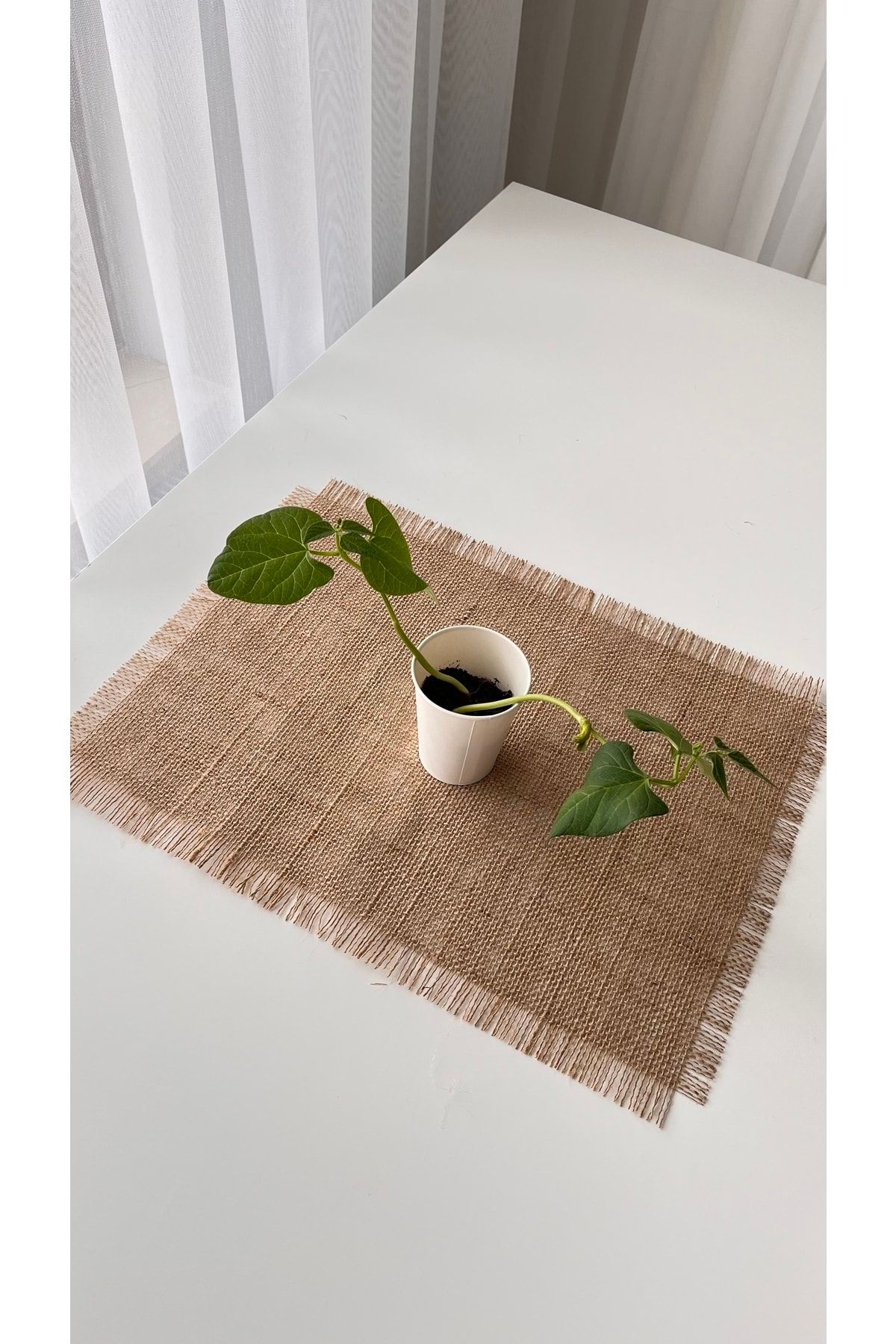 White Alamode-Jute Fabric Rectangular Placemat Single 33x40 Cm 4