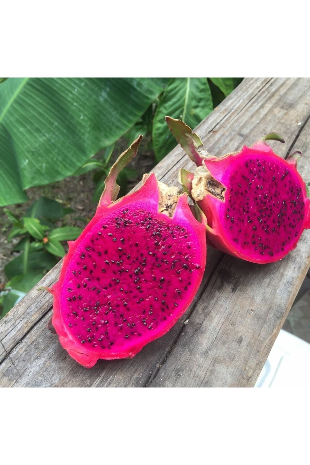 питахайя фрукт драконий глаз. питахайя (драконий фрукт). King питахайя. ягода дракона питайя. питайя желтая.