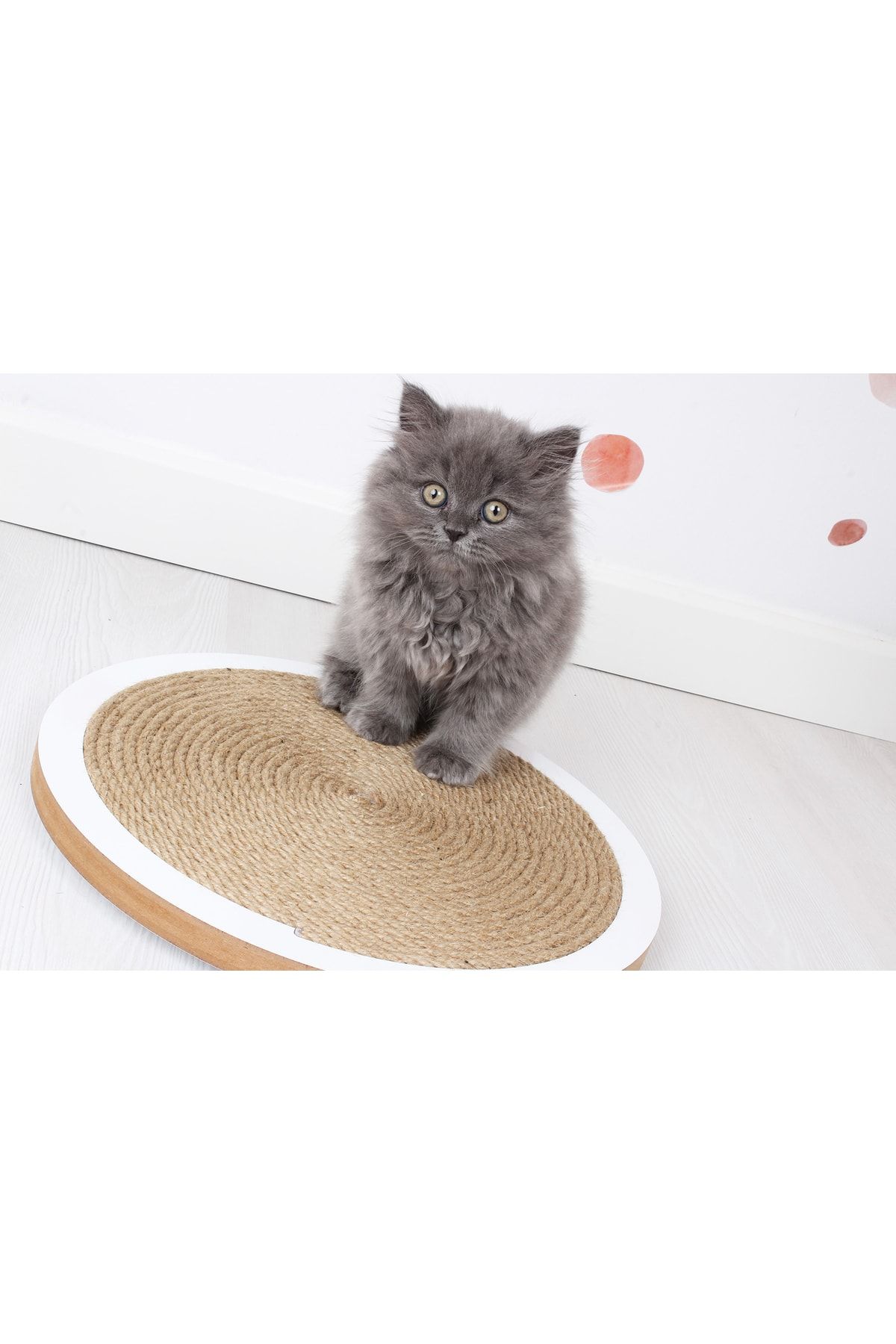 Femusa-Round Suction Cup Cat Scratching Board White 3