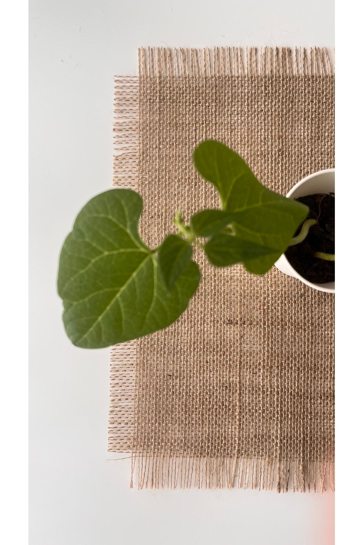 White Alamode-Jute Fabric Rectangular Placemat Single 33x40 Cm 3