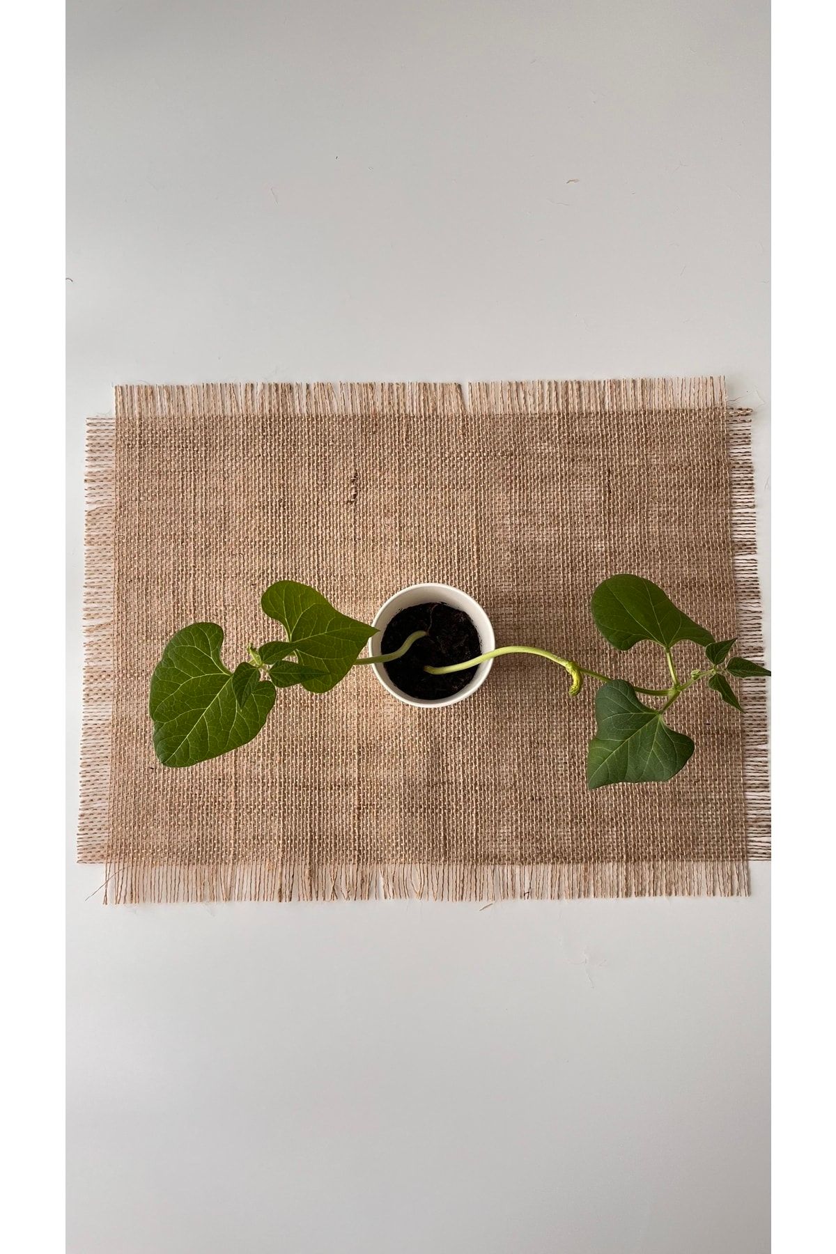 White Alamode-Jute Fabric Rectangular Placemat Single 33x40 Cm 5
