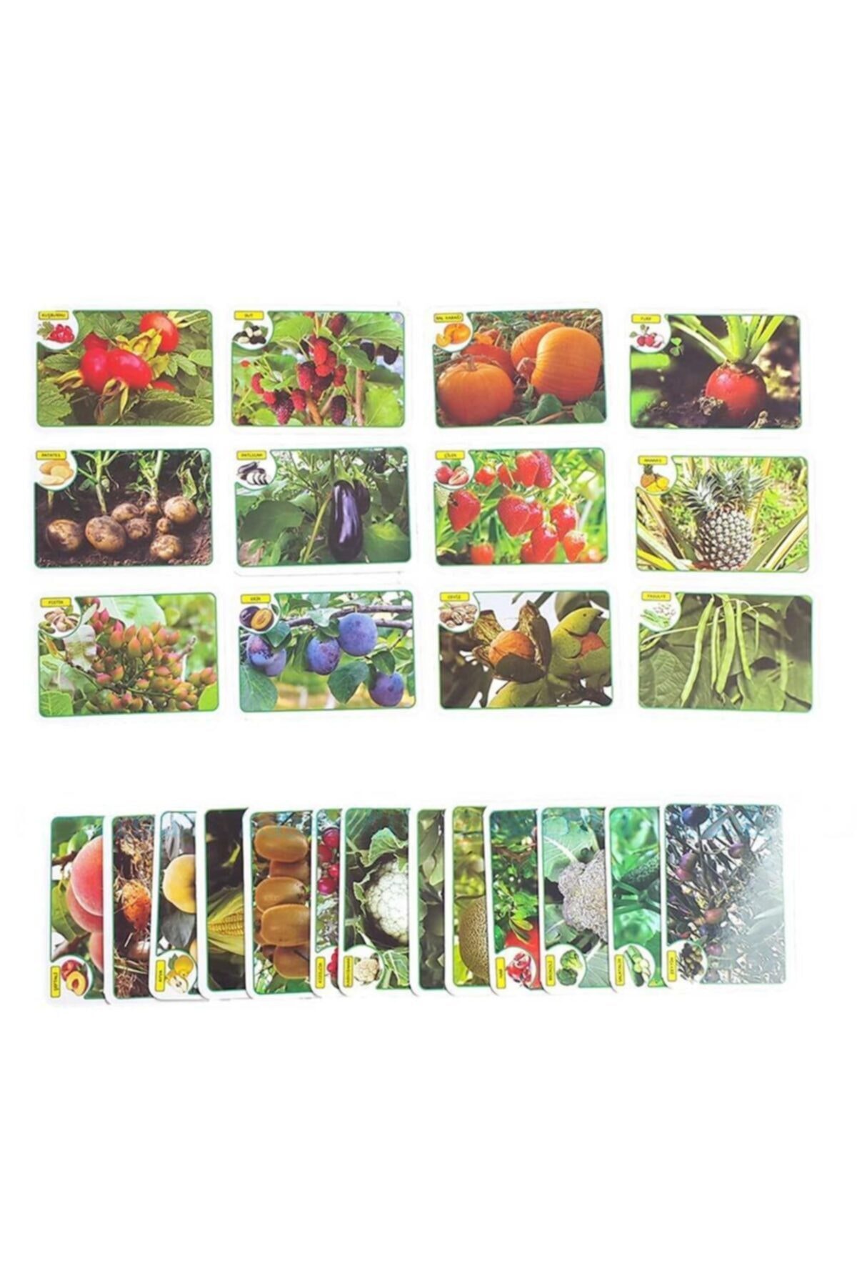 Hobialem Ilk 50 Meyve Ve Sebze, Zeka Kartları, Eğitici Kartlar, Flash Cards fotoğrafı 4 (önizleme)
