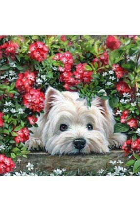 Sanat Çiçekler Arasında Yatan Beyaz Köpek Elmas Mozaik Tablo/mozaik Puzzle 50x50cm E20202641m E20202641M