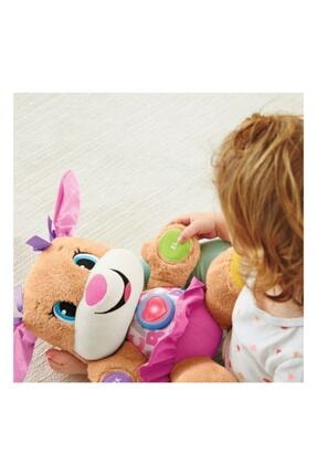 Fisher Price Eğlen Ve Öğren Yaşa Göre Gelişim Eğitici Köpekçik'in Kız Kardeşi...