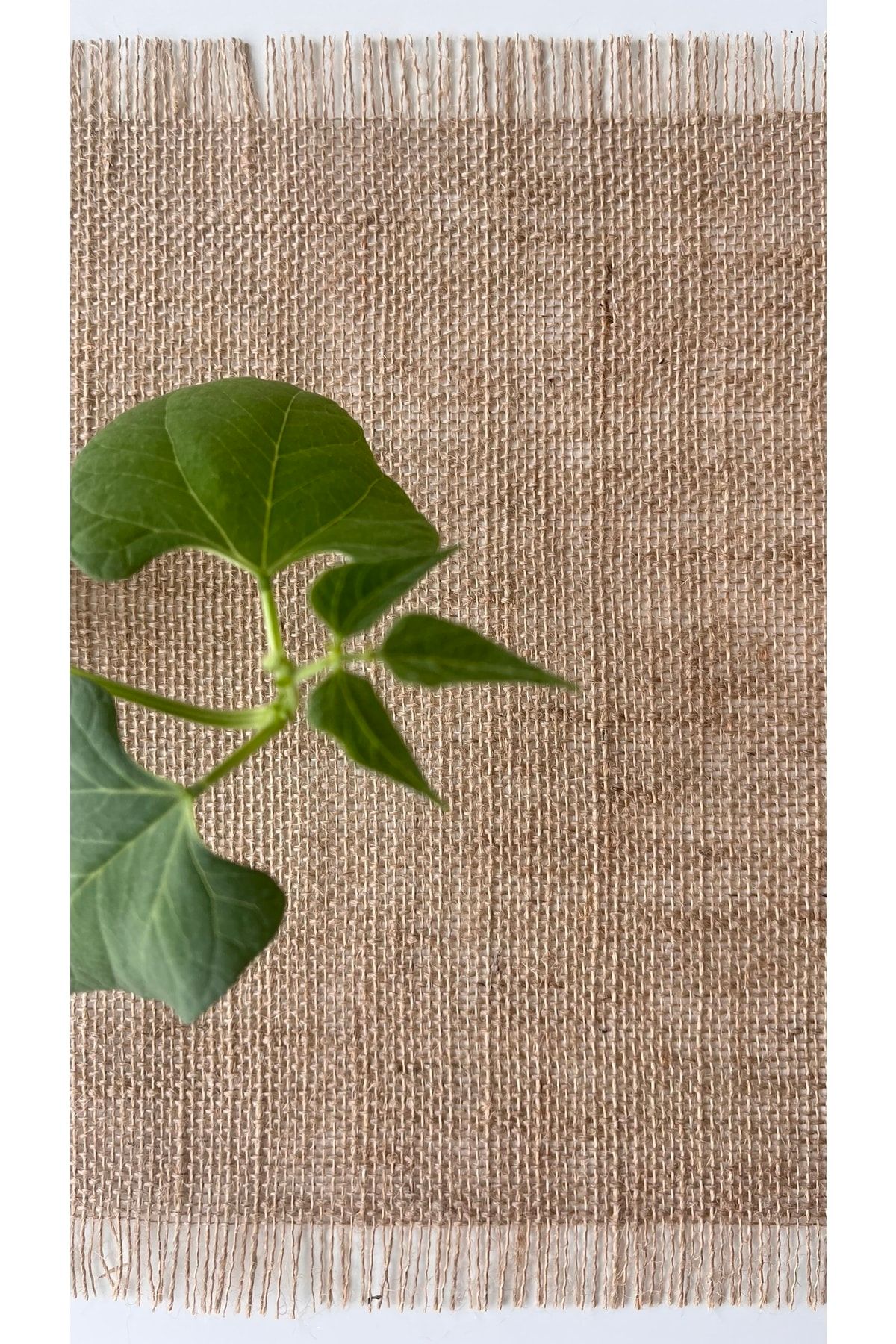 White Alamode-Jute Fabric Rectangular Placemat Single 33x40 Cm 2