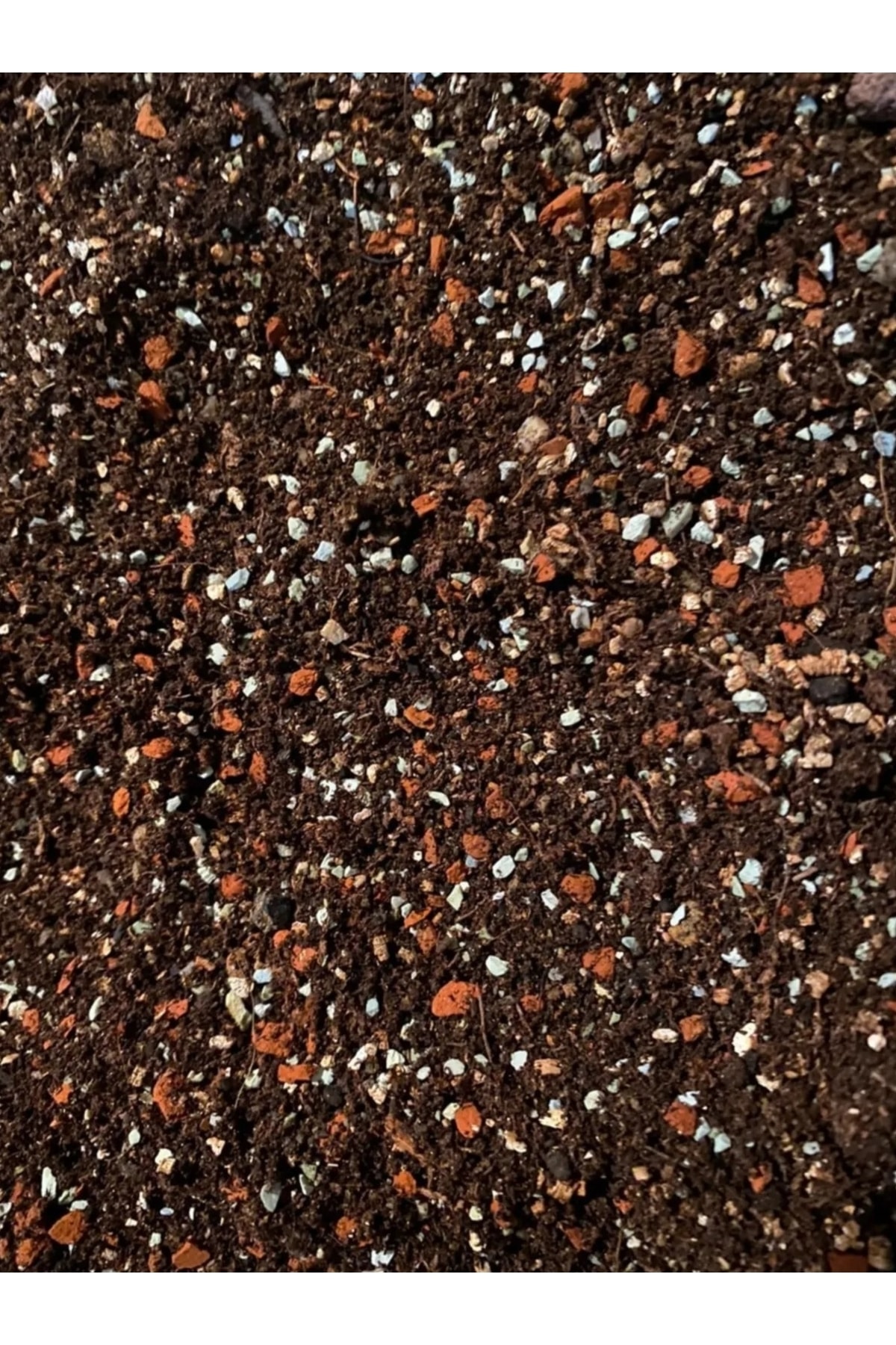 Sukulent & Kaktüs Toprağı 20 Lt Yavaş Salınım Gübreli Teraryum Aloe Vera Lithops Sedum Için Toprak 2