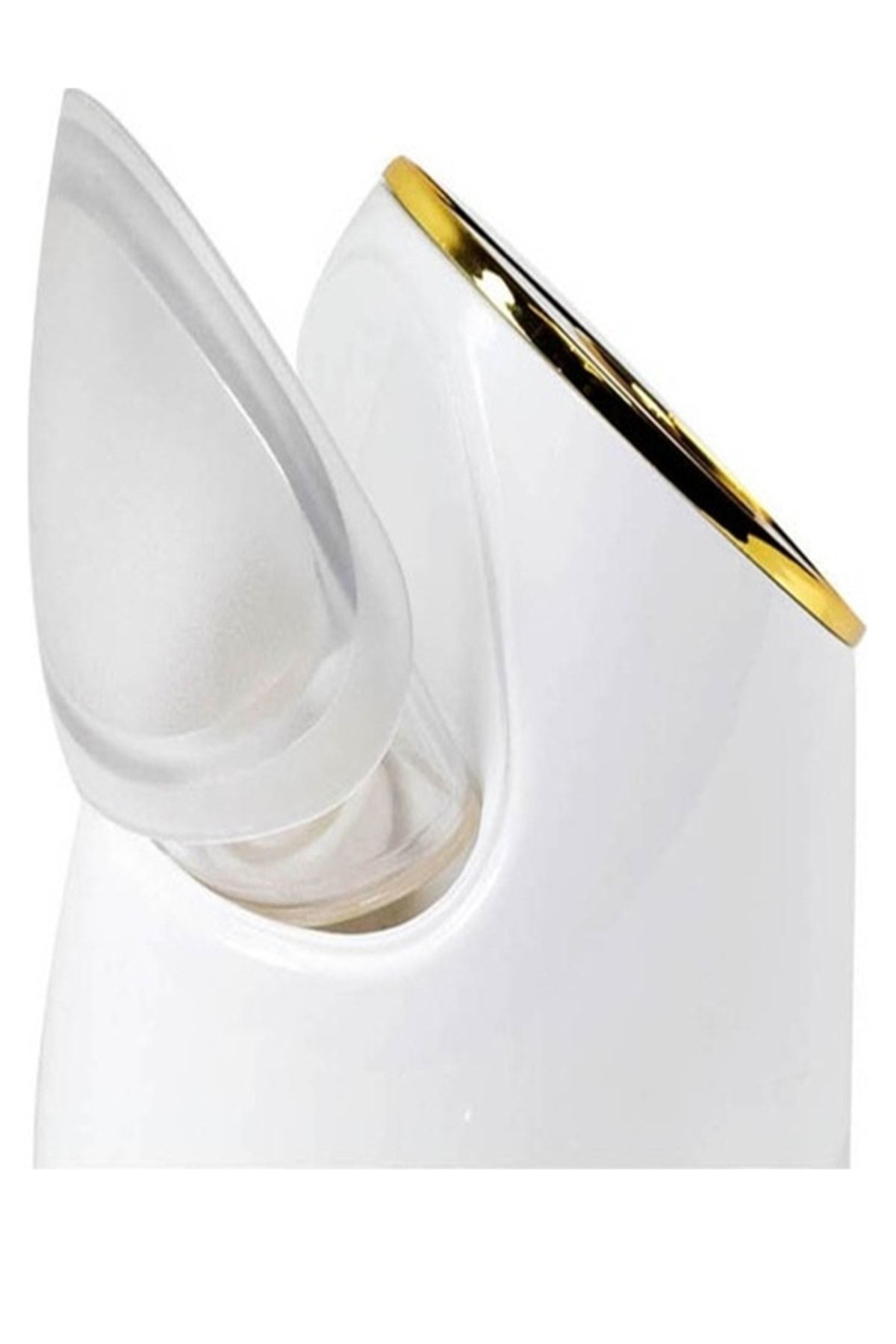 Nascita دستگاه بخاری صورت نانو یونیک پاک کننده چهره گروه اعتباری