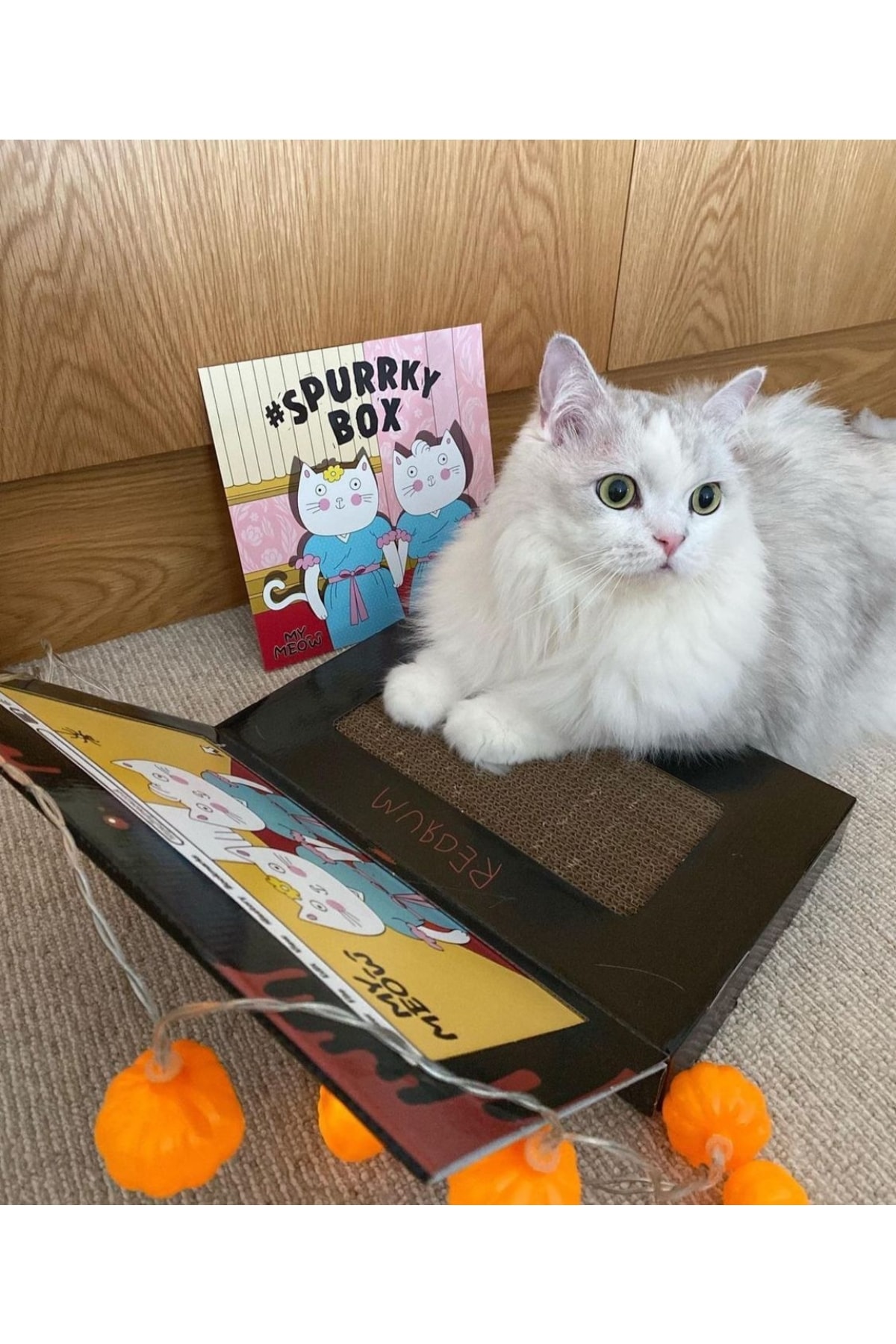 Tutkulu Purrari Miyav Kedi Tırmalama Kartonu Keyfi