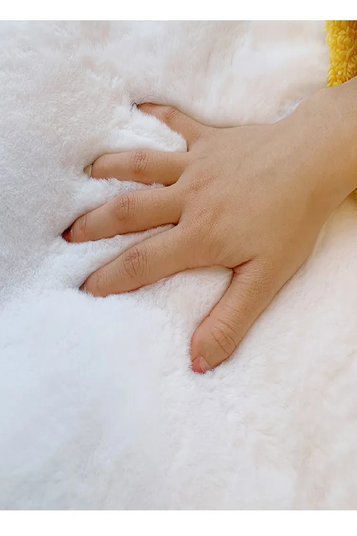 ALgorand Home Süper Yumuşak Peluş Ayı Halı Oturma Odası Bebek Odası Kaymaz Taban Halı Yatak Odası Halısı fotoğrafı 4 (önizleme)