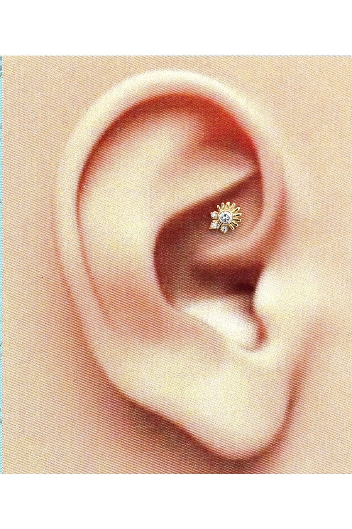 safderuntaki Tragus Helix Piercing Alt n Gold Fiyat Yorumlar