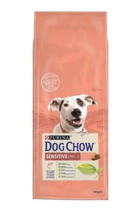 Dog Chow Somonlu Yetişkin Köpek Maması 14 kg dgchwsensom15