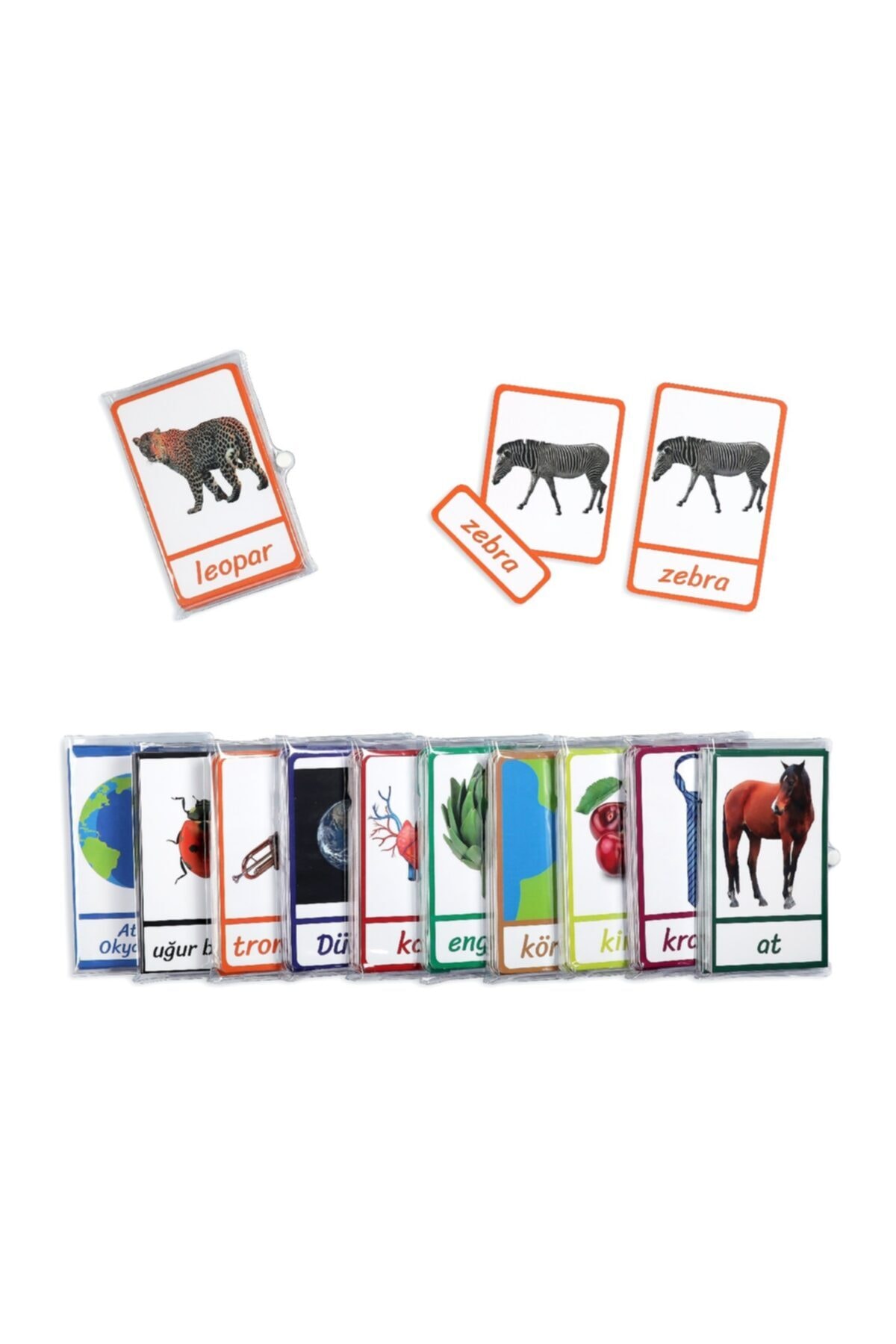 Meraklı Zebra Montessori Üç Parçalı Eşleştirme Kartları - Iskelet Sistemi Seti fotoğrafı 3 (önizleme)