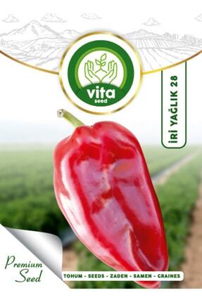 Vita Tohum Salçalık Közlemelik Biber Tohumu Yalova Yağlık 28 500 gr