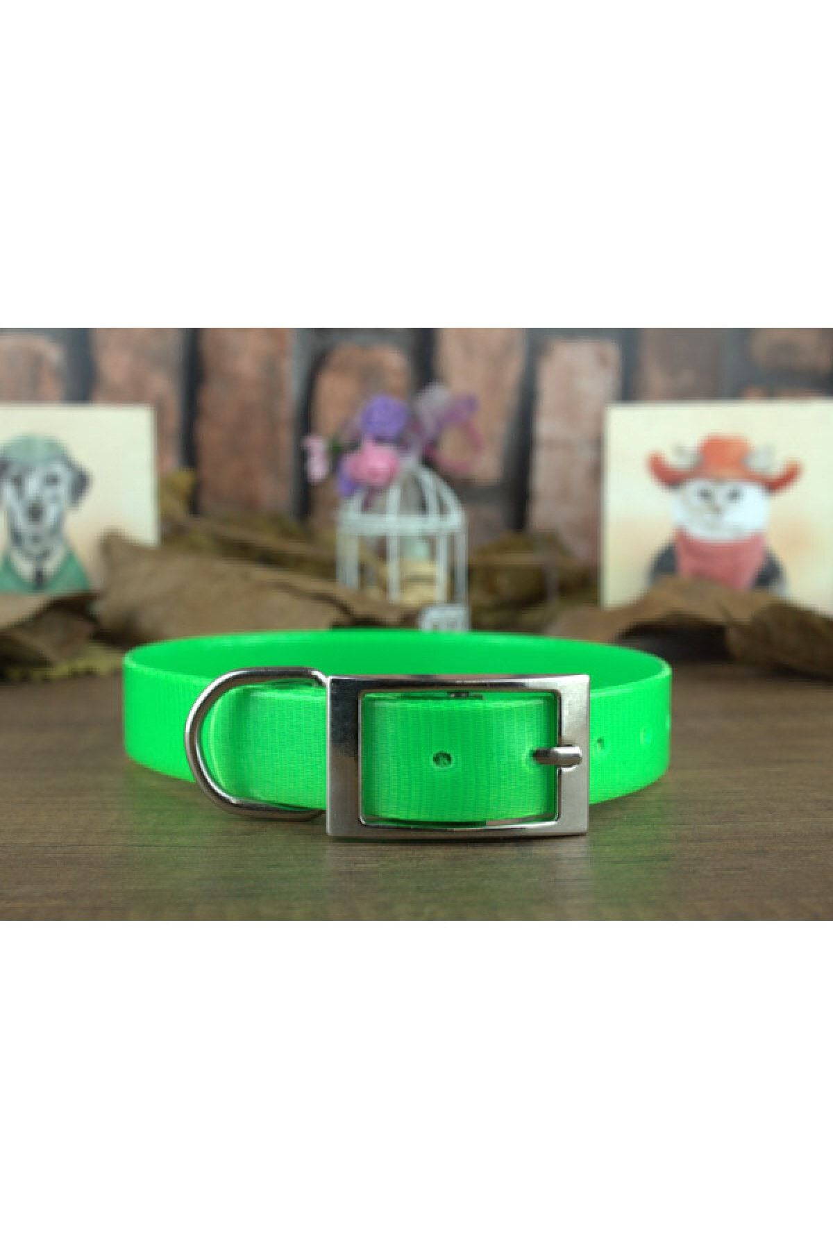 Green dog collar hotsell