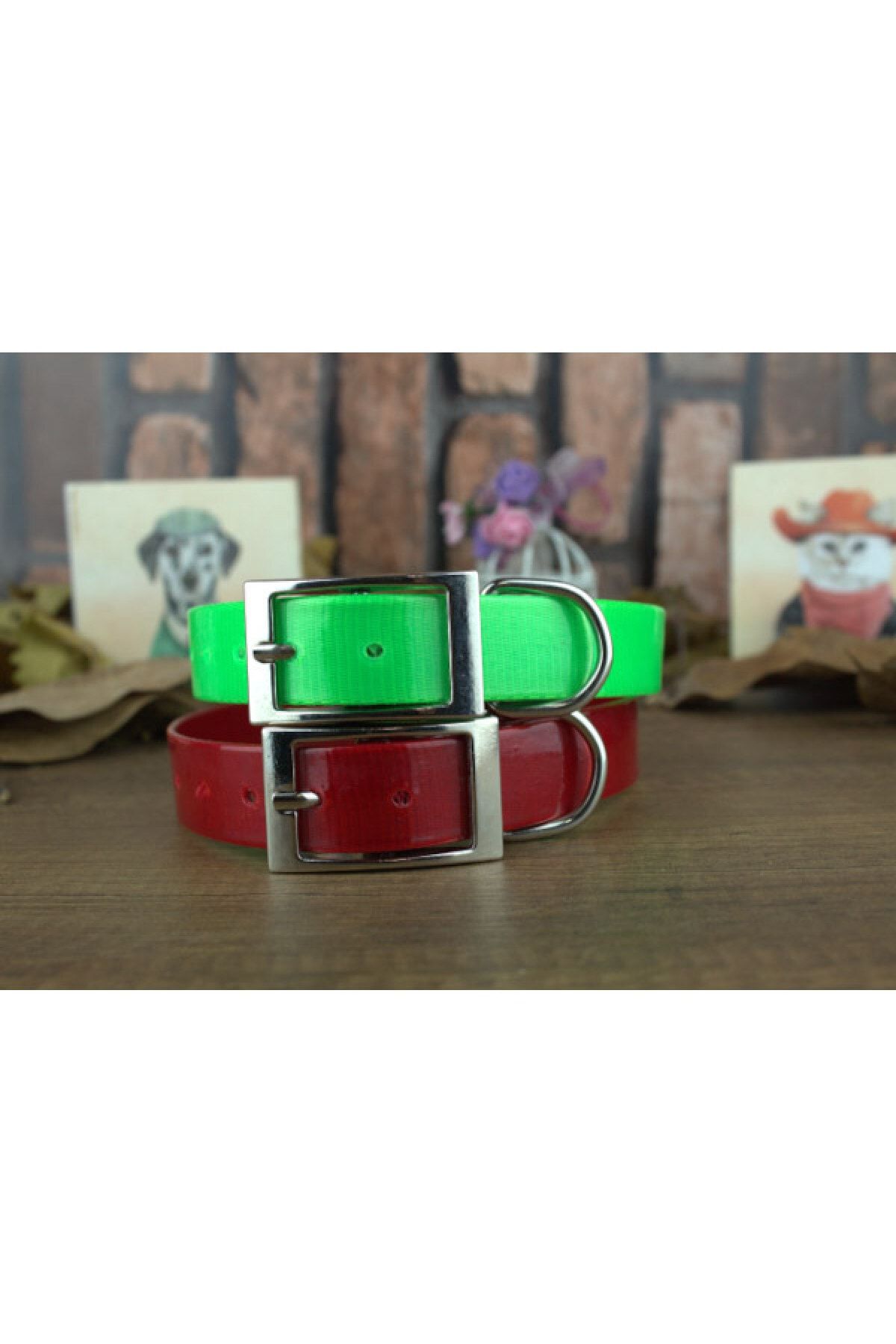PetBuddy Silicone Coated Green Dog Collar Trendyol