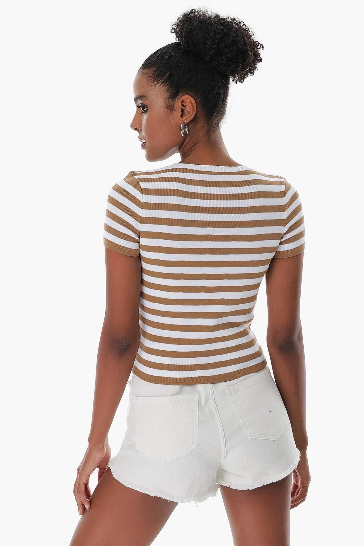 CHUBA-Women's Crew Neck Striped Short Sleeve Knitwear T-shirt Tan-white 23s1011 4