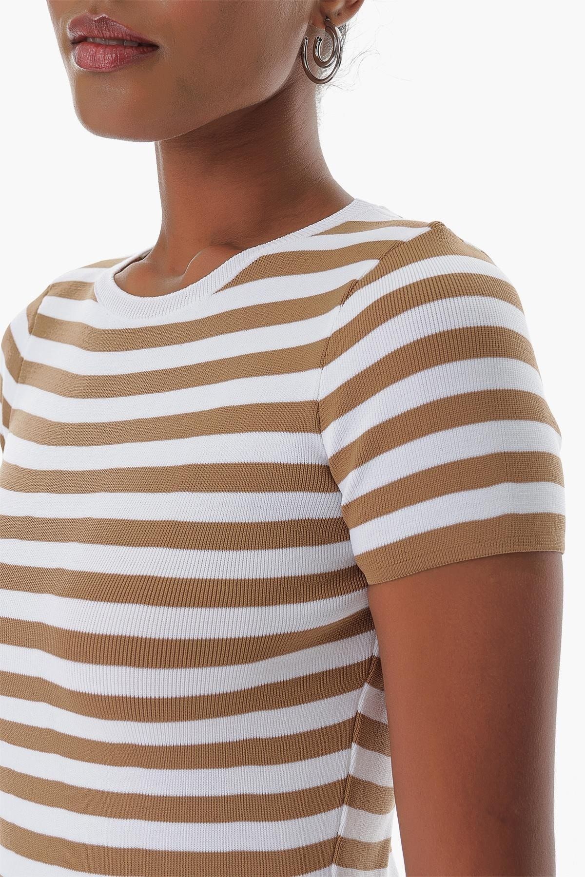 CHUBA-Women's Crew Neck Striped Short Sleeve Knitwear T-shirt Tan-white 23s1011 5
